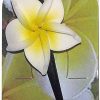 Accessories Sundrenched | Large Frangipani Hairpin