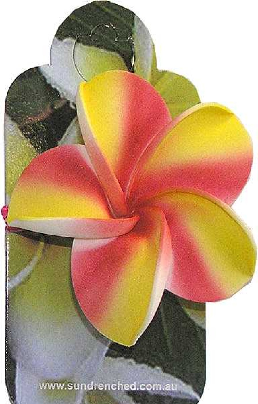 Accessories Sundrenched | Frangipani Elastic Hair Band Red