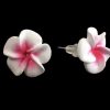 Accessories Sundrenched Earrings | 1Cm Frangipani Stud Earings